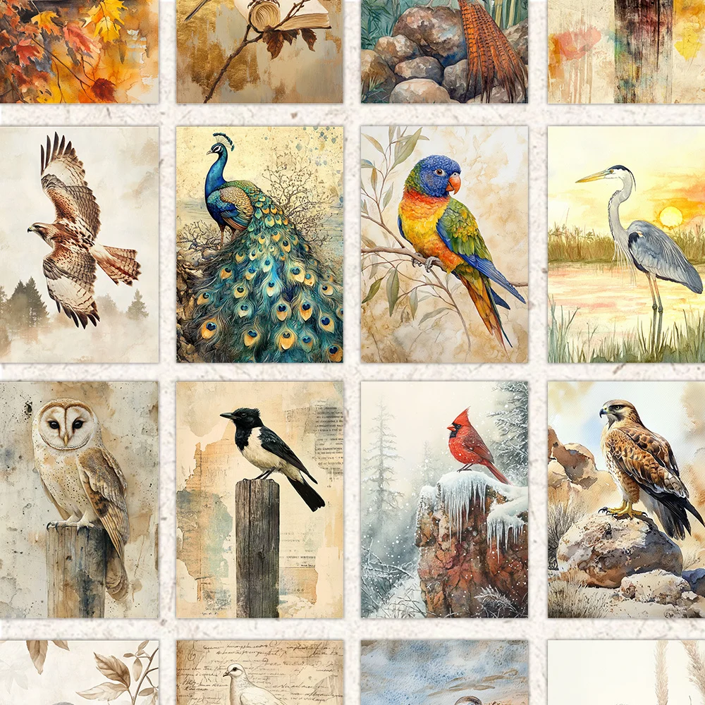 32pcs, natural style bird postcards, indoor bedroom decoration, wall stickers, message cards, greeting cards, commemorative image 4