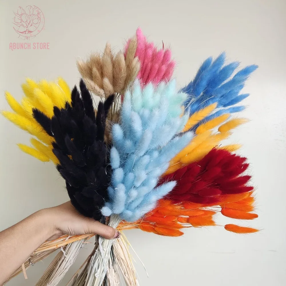 

60Pcs Bunny Tails Dried Flowers for Home Vase Decoration Natural Dry Lagurus Ovatus Pampas Rabbit Tail Grass Wedding Arrangement