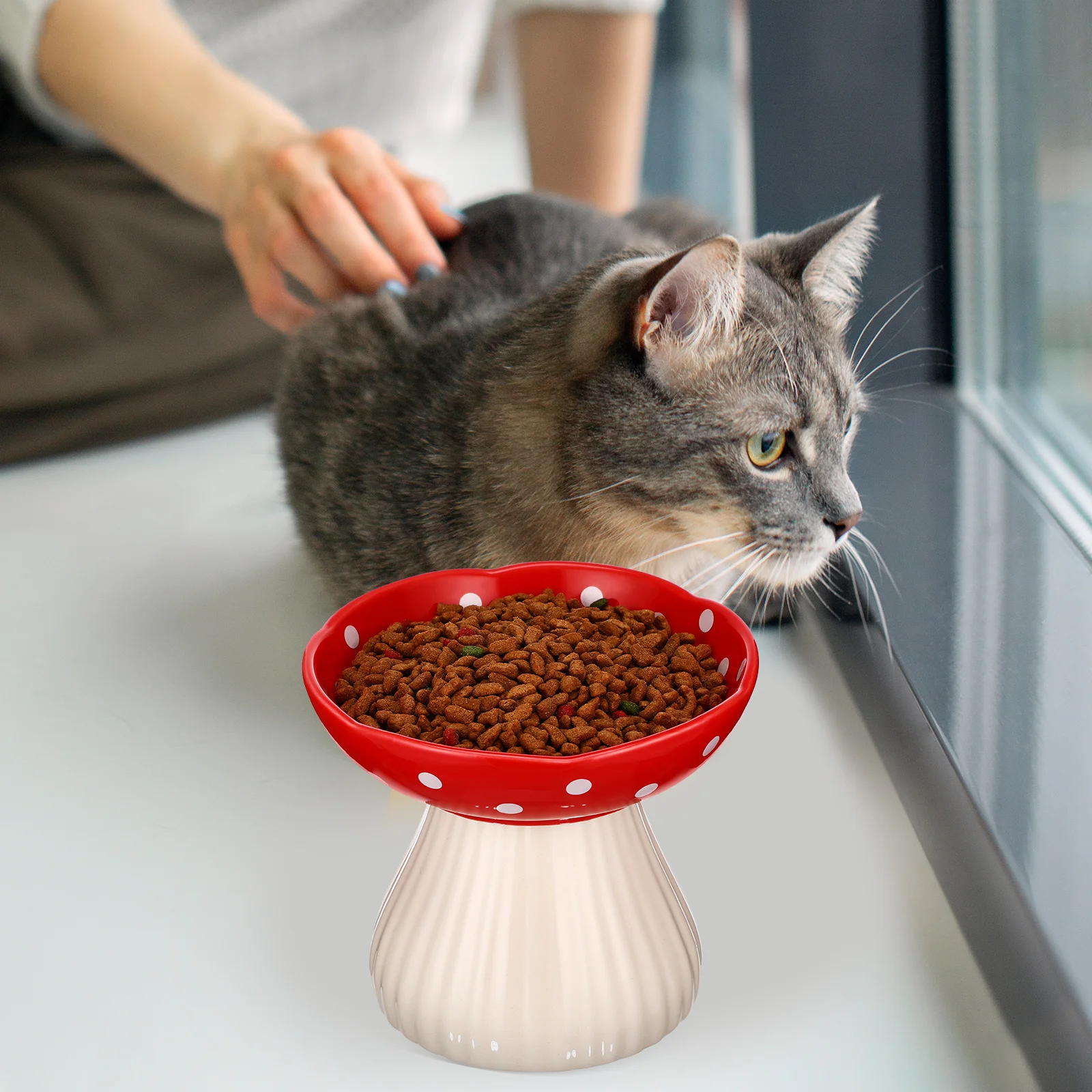 

Stable Raised Cat Bowl Ceramic Whisker Friendly No Spill Easy Clean Elevated Feeding Station for Indoor Pets Raised Cat Bowl