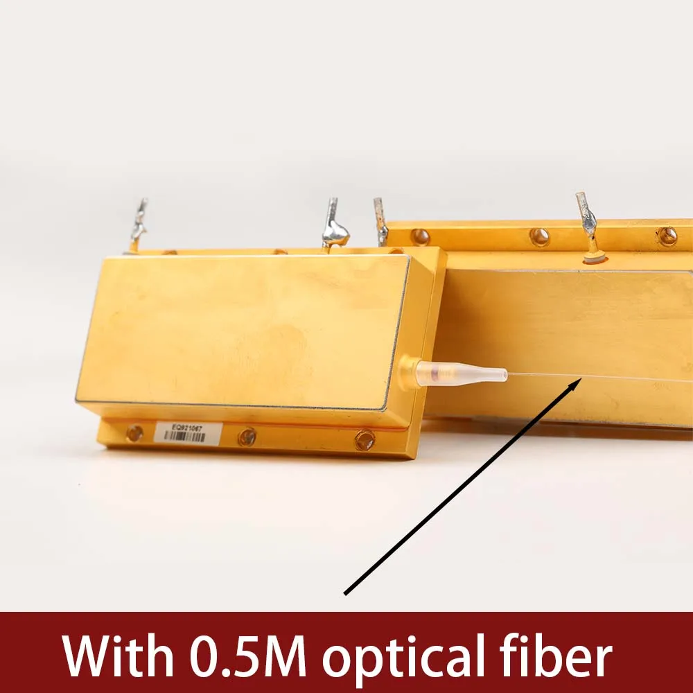 Raycus 120W 250W 290W Laser Source Parts Full Power Pump Source 915nm Photoelectric Conversion Device 0.5M Optical Fiber