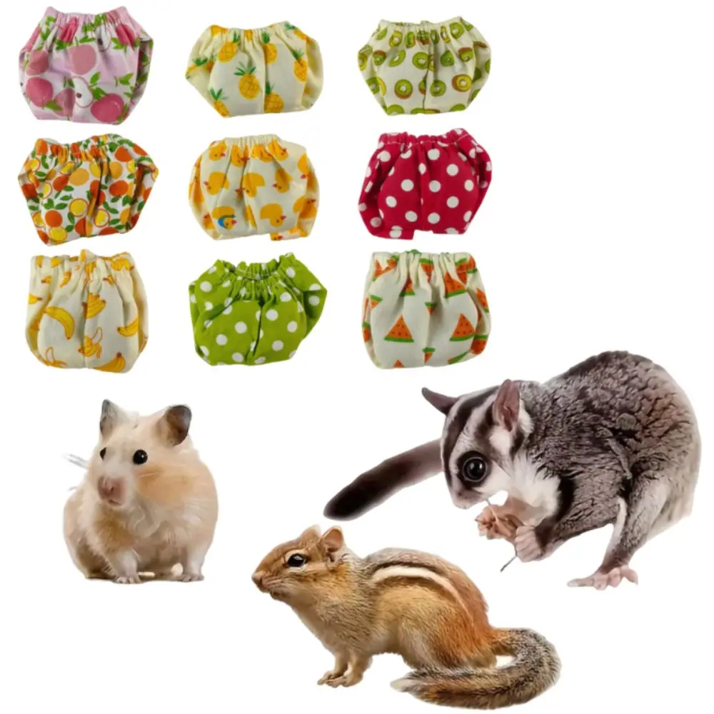 Absorbent Squirrel Diapers Adjustable Leak-Proof Pet Training Pants Flexible Closure Breathable Potty Training Underwear Rat