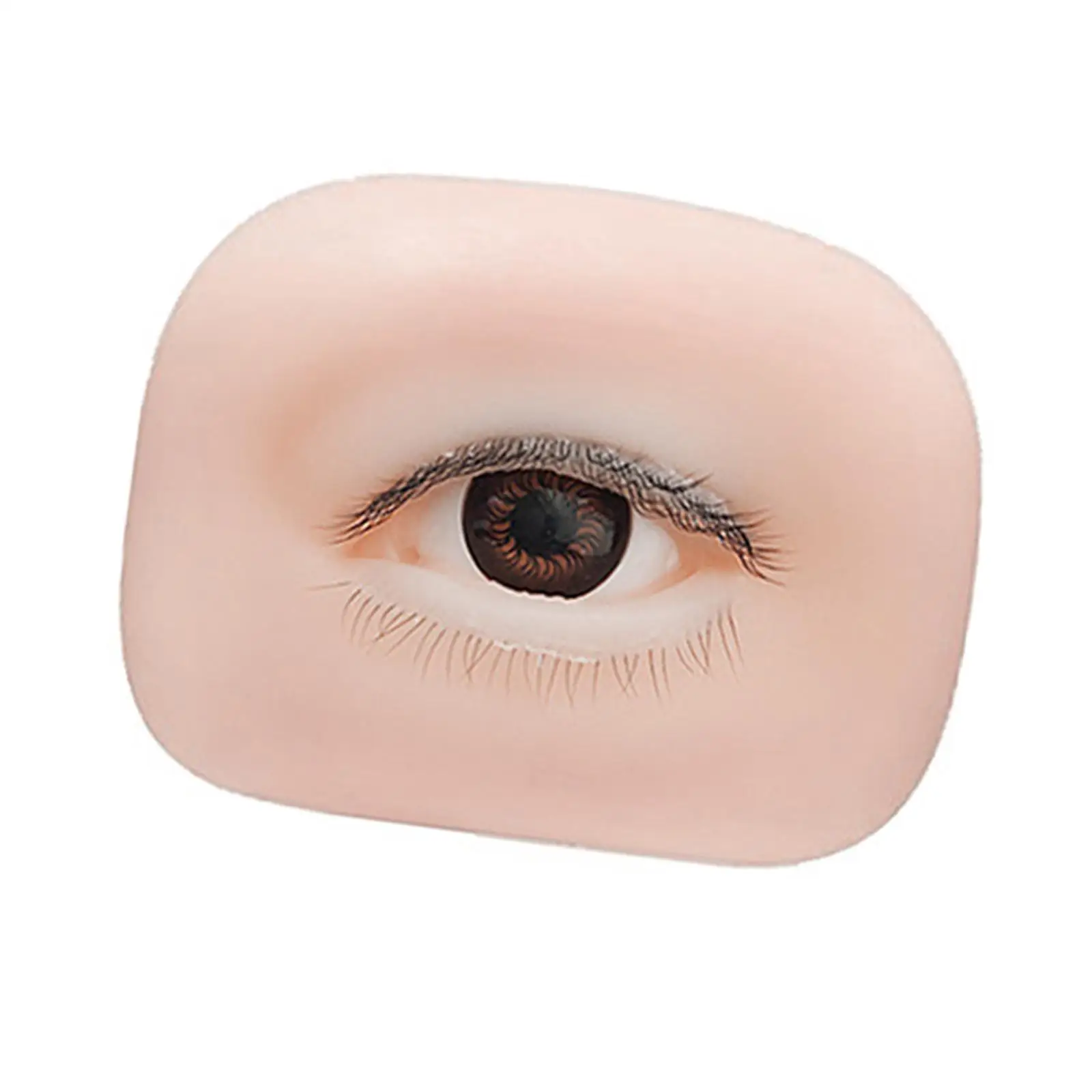 Silicone Eyelash Practice Board Realistic Eyes Model 5D Layered Lashes for Extension Training and Demos