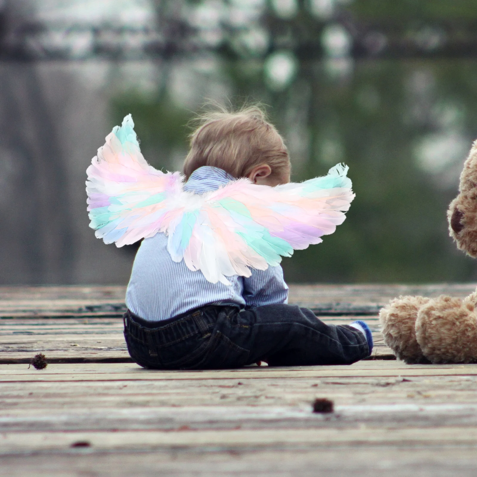 

1 Piece Colorful Wings Props Adorable Plume Wing for Christmas Performance Fairy Cosplay Stage Photography Decorative