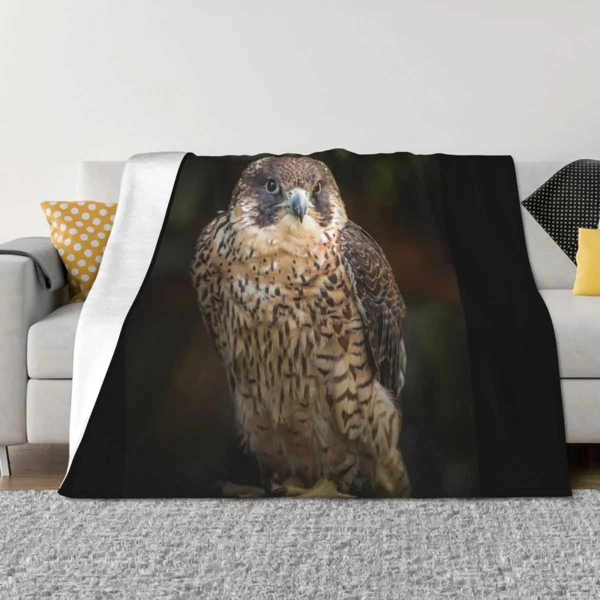 

Peregrine Falcon Bird of Prey Portrait Throw Blanket Beach Soft Beds Beautifuls for sofa Blankets