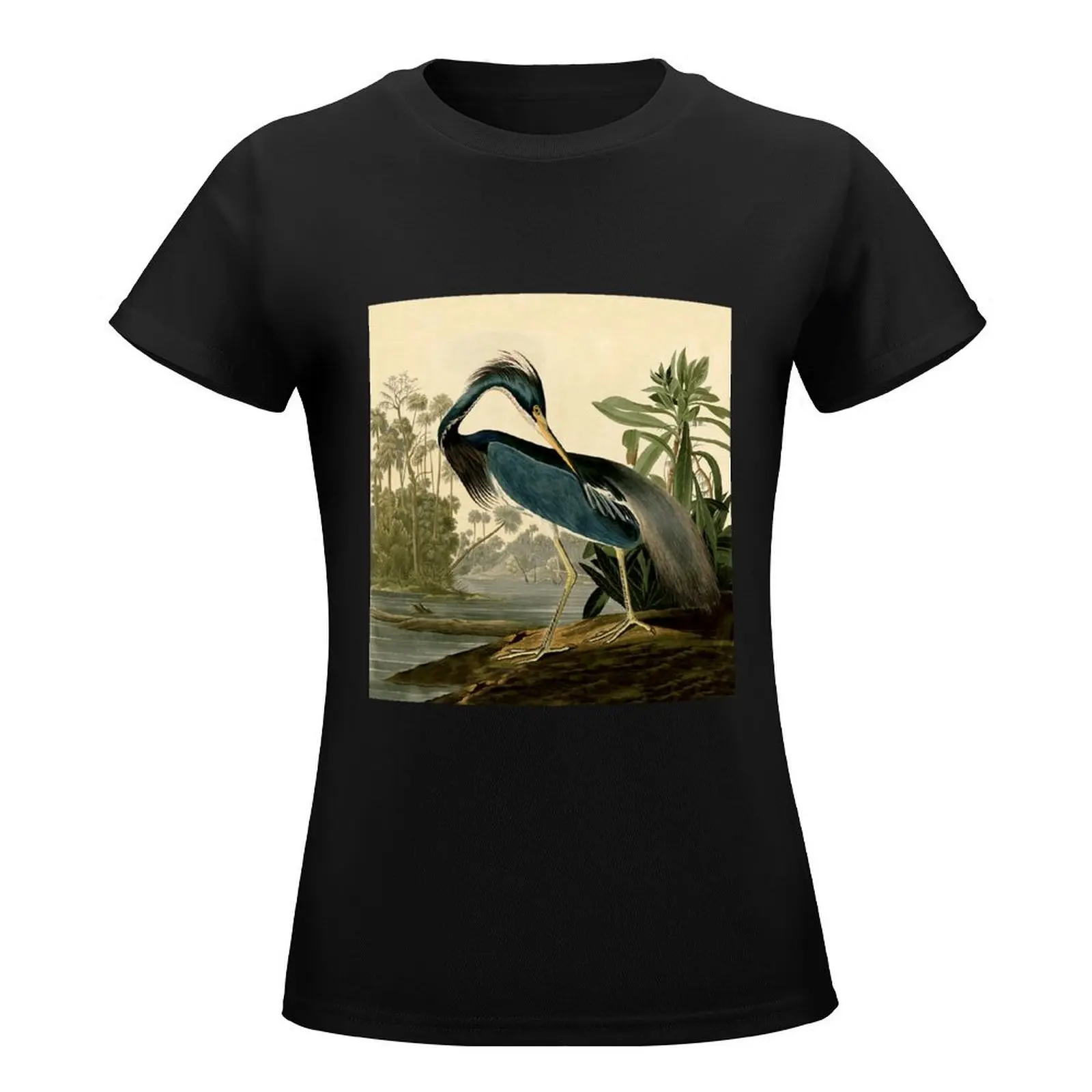 Audubon Bird Louisiana Heron Antique Art T-Shirt aesthetic clothes anime clothes plus size tops spring clothes Women 2024