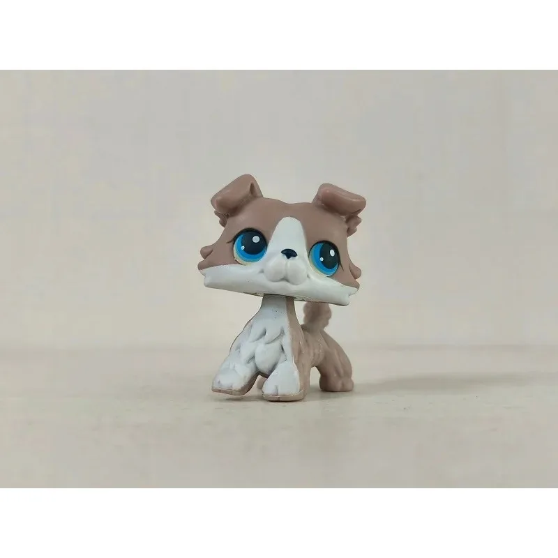 Mini Pet Shop LPS Grey White COLLIE puppy Dog #67 Blue Eyes Figure kid toy