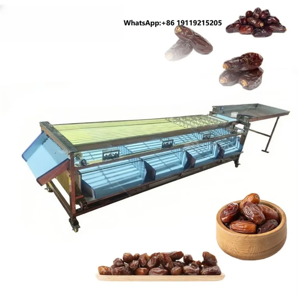 Avocado Cherry Tomato Walnut Olive Date Fruit Sorter Onion Washing Grading Sorting Machine