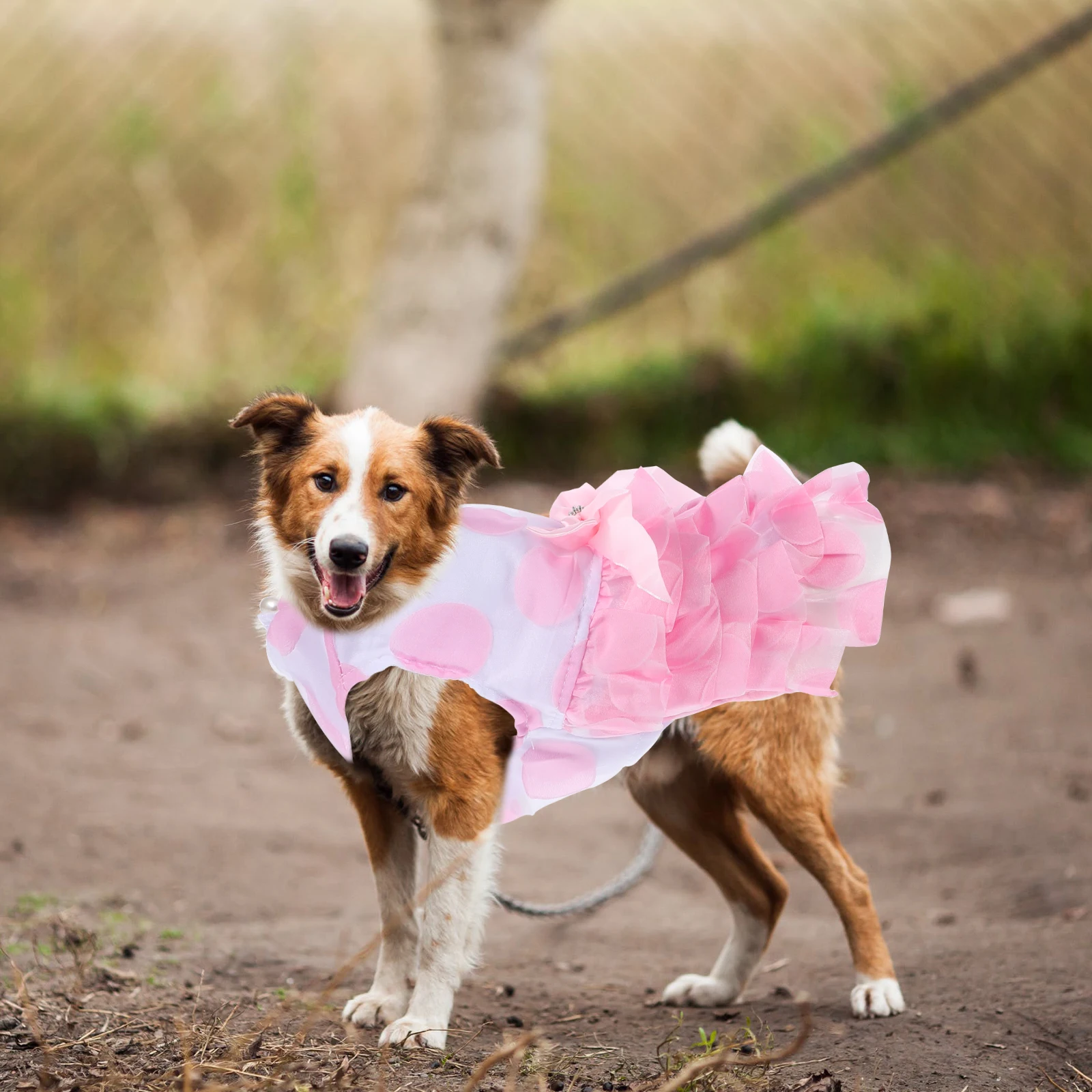 

s Dog Bowknot Tutu Dress Pet Skirt Puppy Costume Cute Clothes Walking Outdoor Princess Style Pet Dog Dress