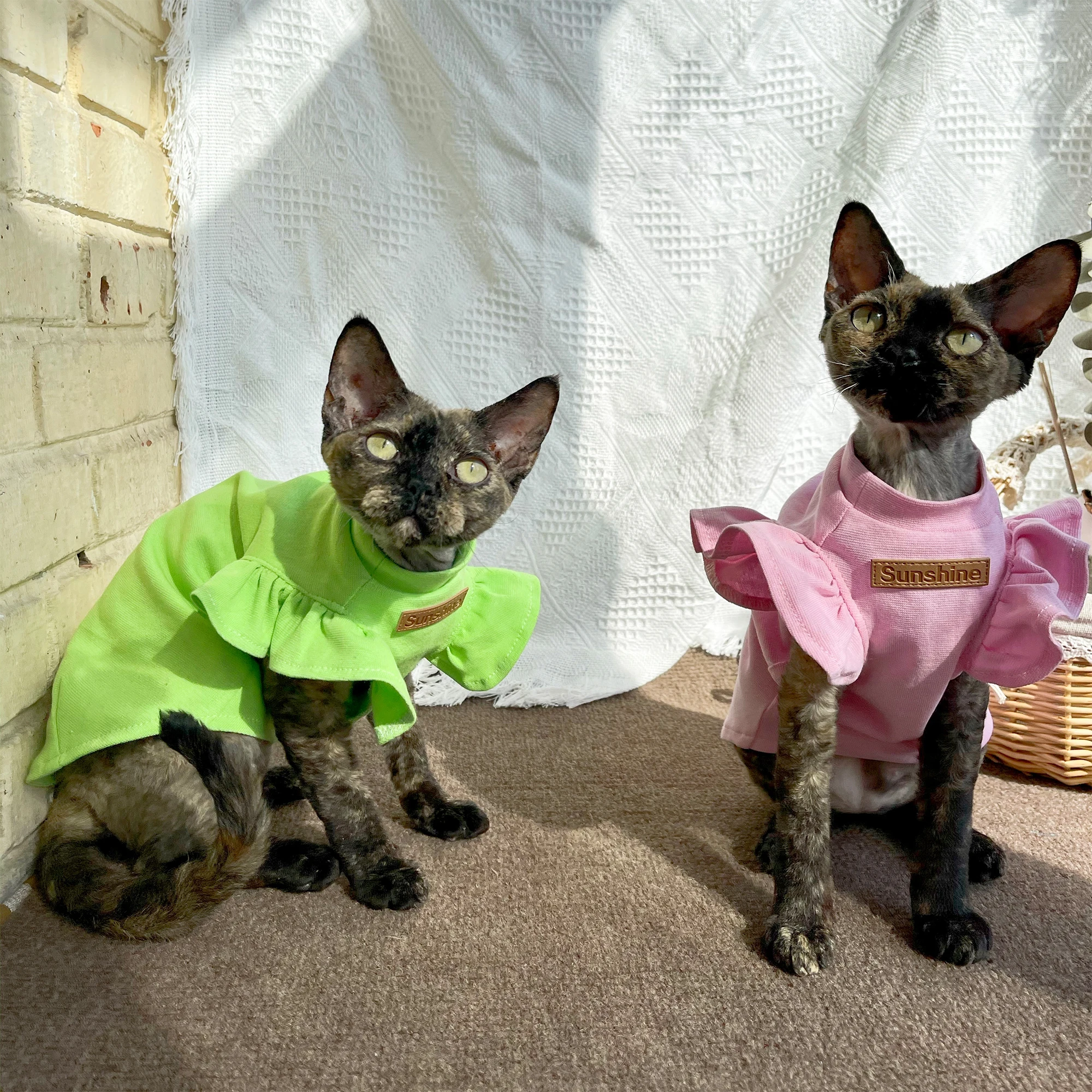 Cats Clothing Soft Cotton Pink Green Color Vest For Sphynx Cat Short Ruffled Sleeves Jumpsuit for Kittens Summer Dress