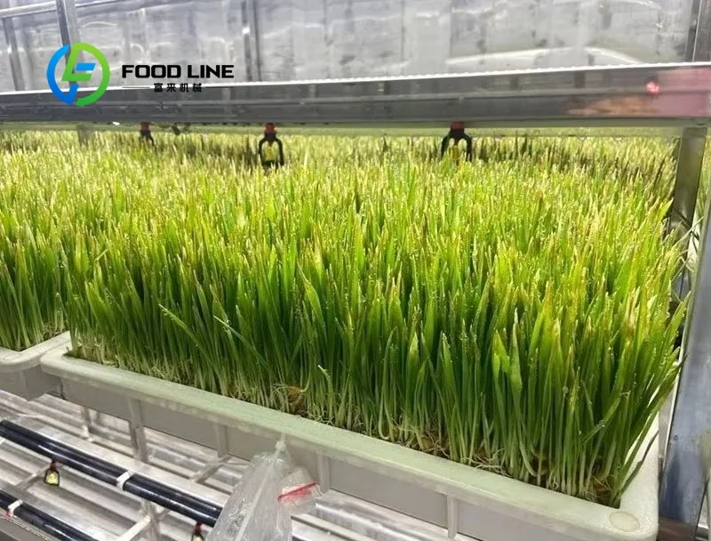 50-1000kg/Day Bean Growing Rooms Hydroponic Fodder Sprouting Systems Poultry Container Farm Shipping Container Intelligent