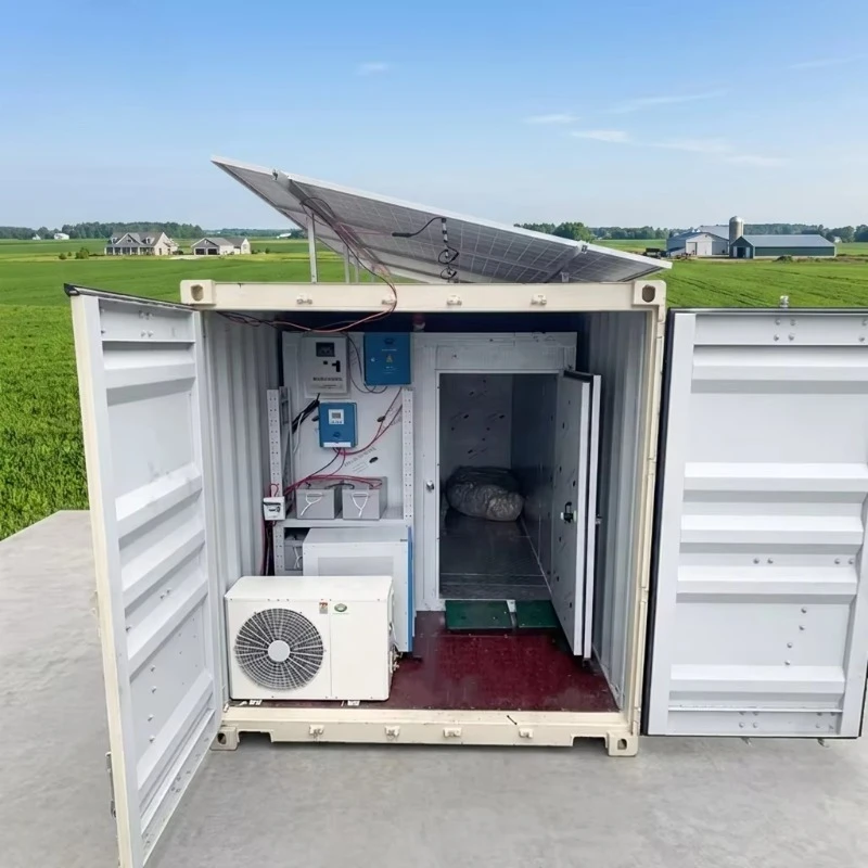 Solar Cold Room 5 Ton Meat Storage Compressor Customizable Dimensions Custom