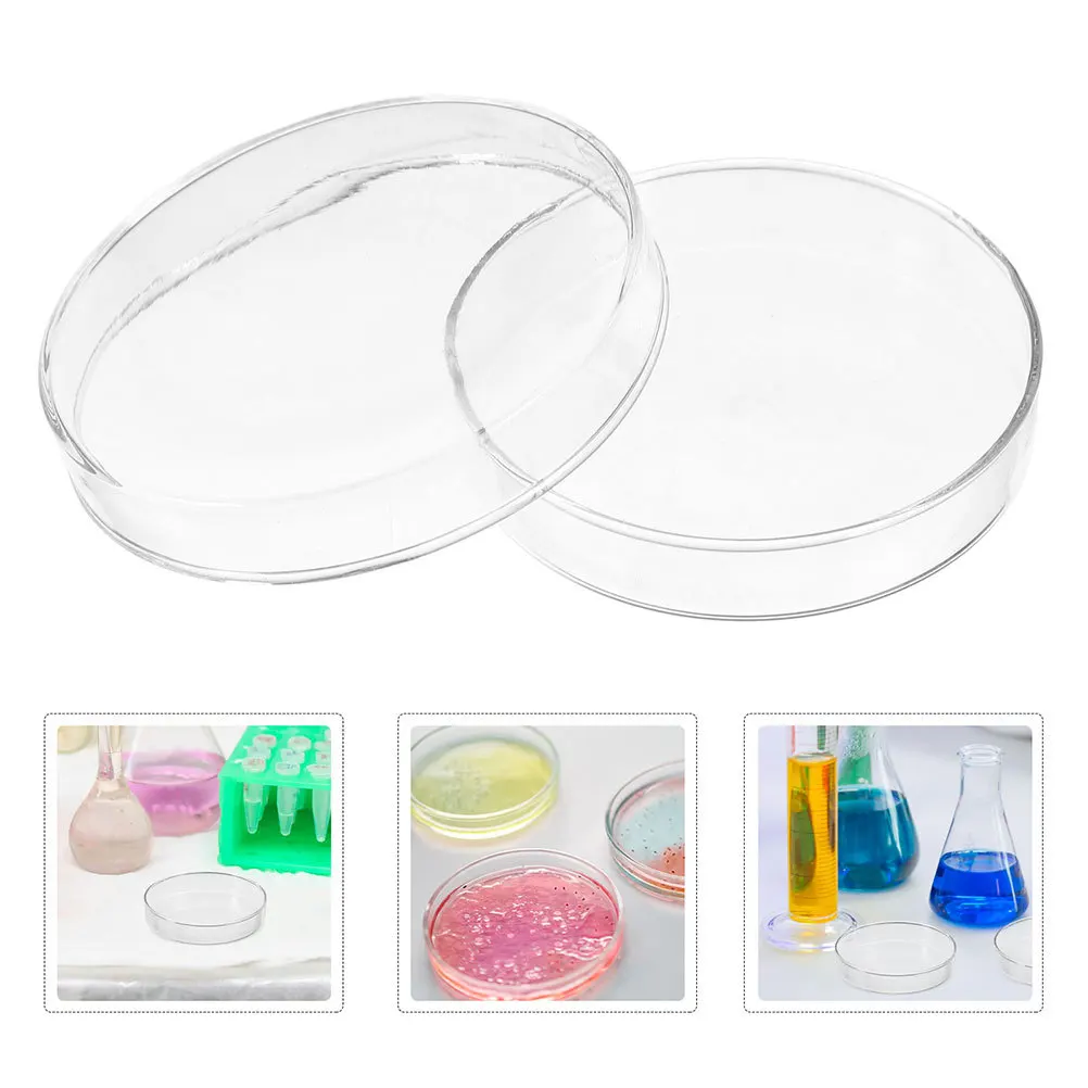 

Glass Petri Dish L Clear Visibility Durable Thickened Glass Ideal for Cell Culture Laboratory Science Experiments