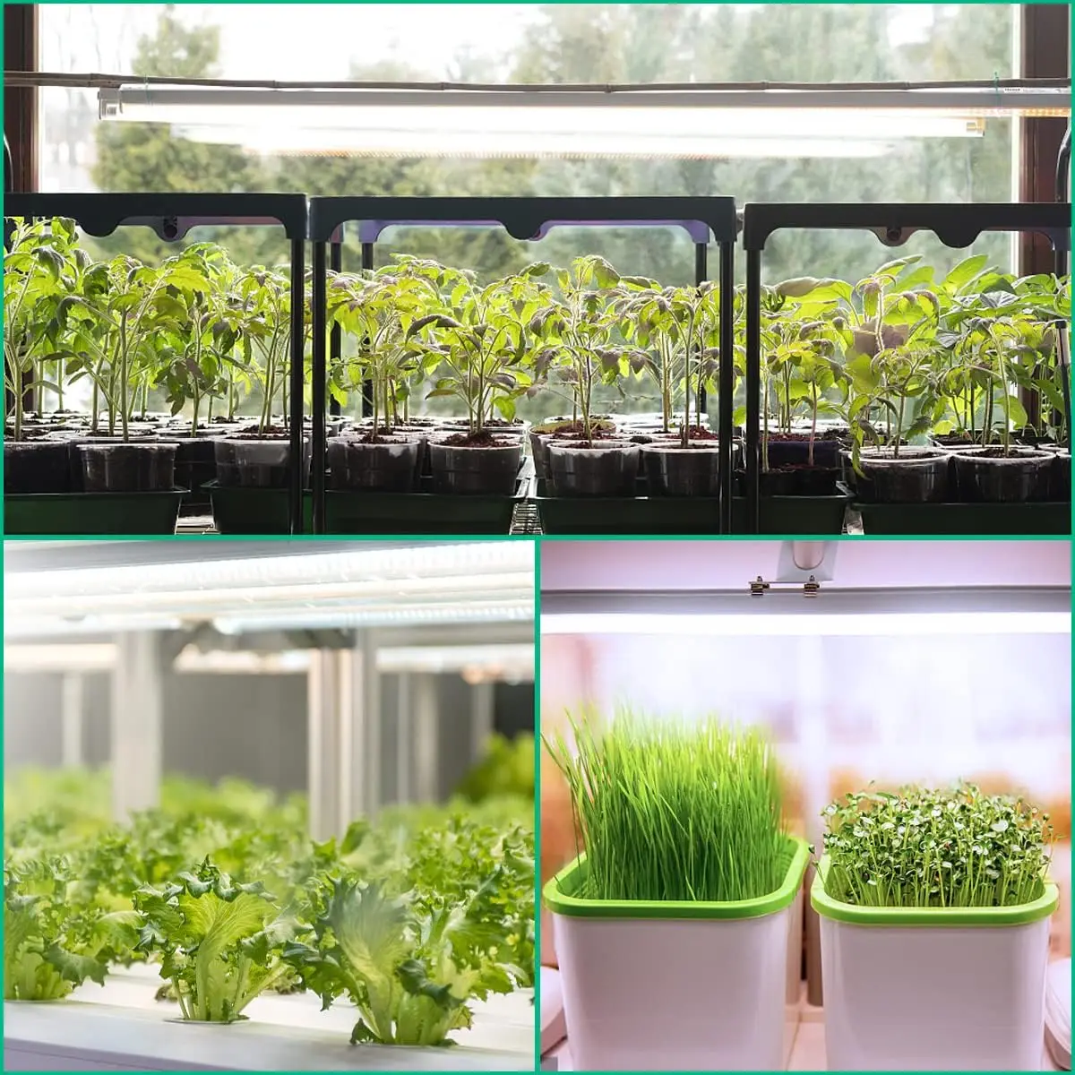 LED Grow Plant Lamp Full Spectrum Tube Bulb AC85-265V Growth Lights Hydroponics Growing System Aquarium Plants Seed Terrarium