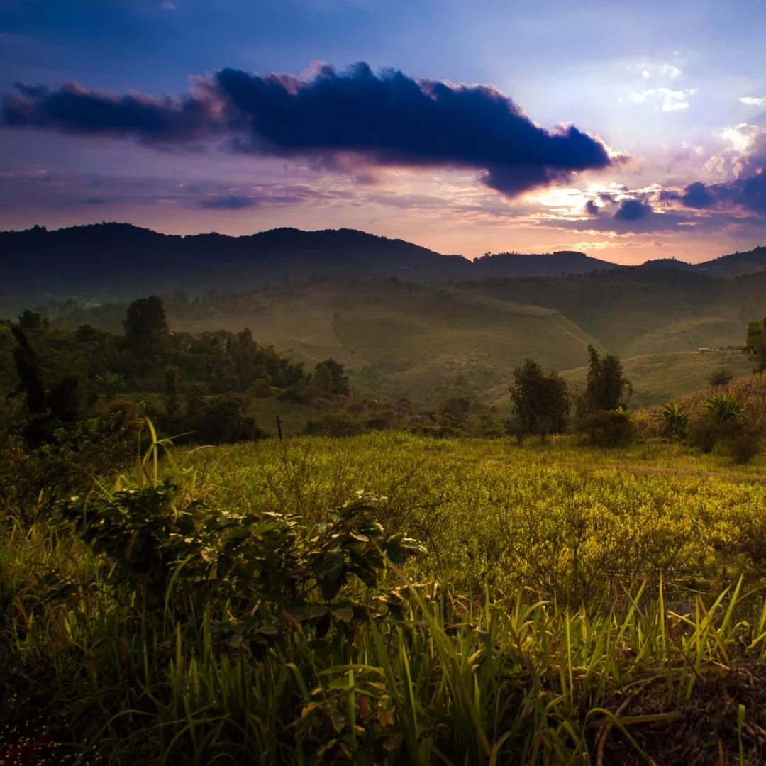 R 13.8 بوصة أندرويد 13 راديو السيارة مشغل وسائط متعددة لنيسان 370Z 2008 -2019 شاشة تعمل باللمس الوسائط المتعددة DSP CarPlayer 4G رئيس وحدة #1