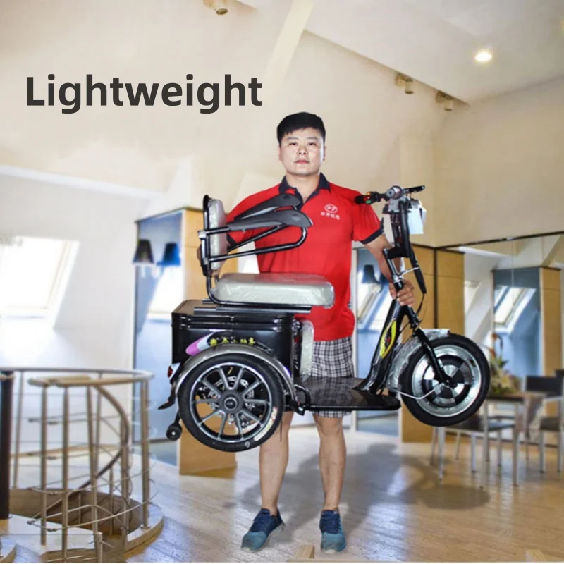 14 Inch Mini Electric Scooter 3 Wheels For Adult 350W 48V Cargo Electric Tricycle for Elderly With Removable Lithium Battery