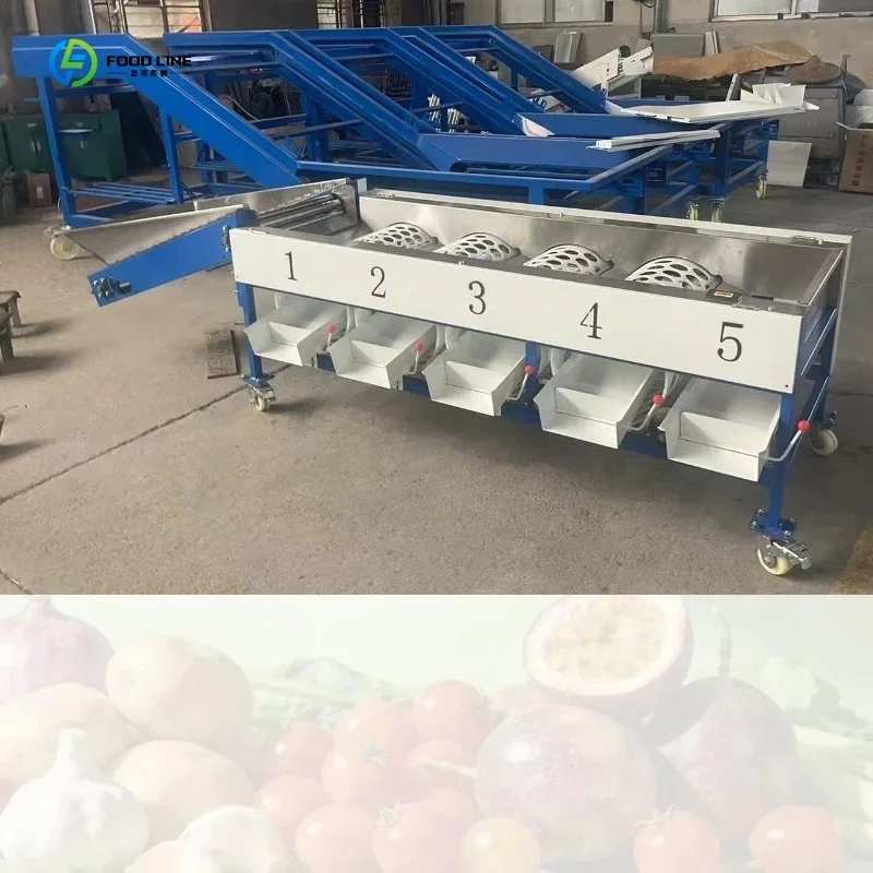 Advanced Fruit and Vegetable Sorting Machine with Cleaning and Drying Functions FL Customized