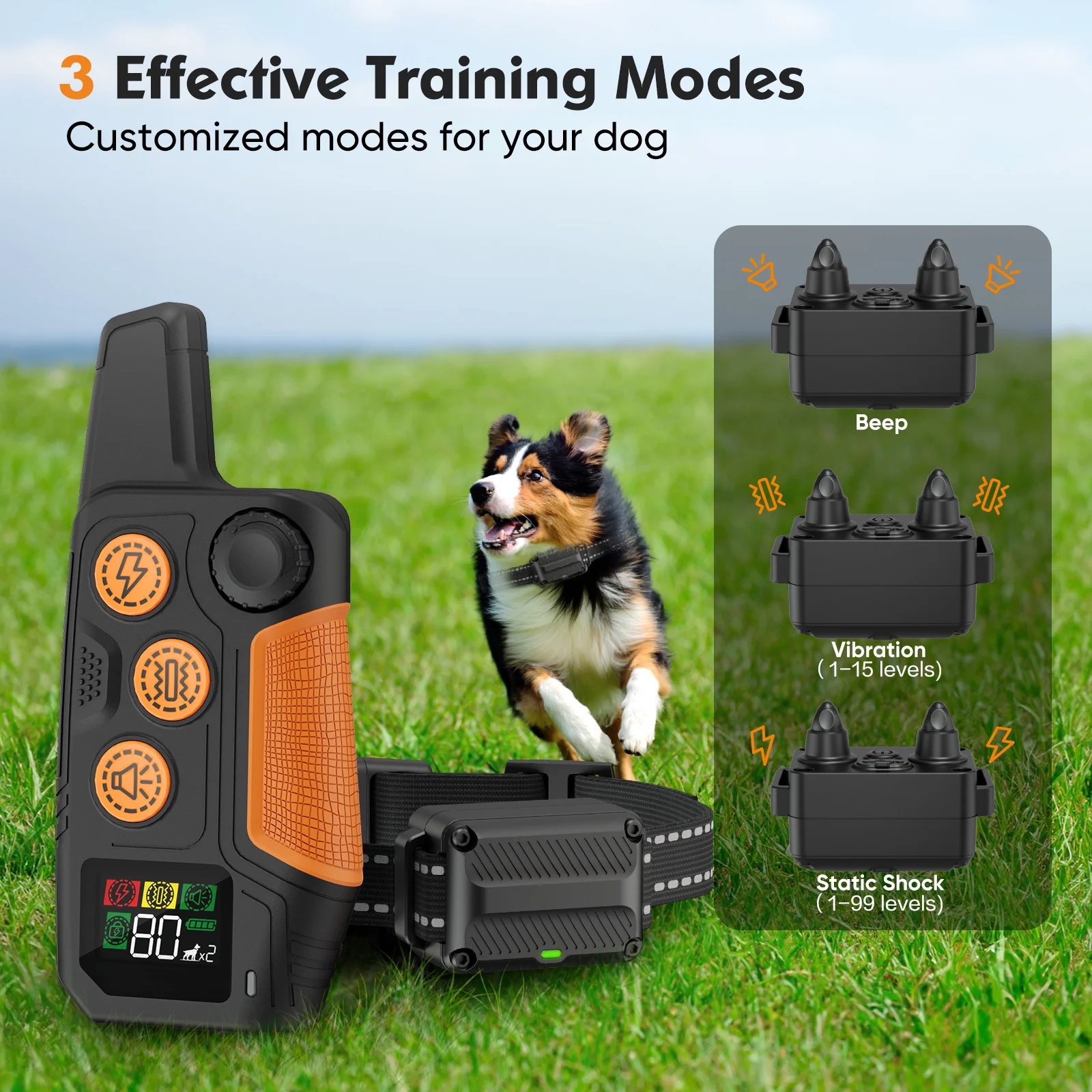 Thumbnail 2 - #25 Top Puppy Training Collars Picks for Every Budget