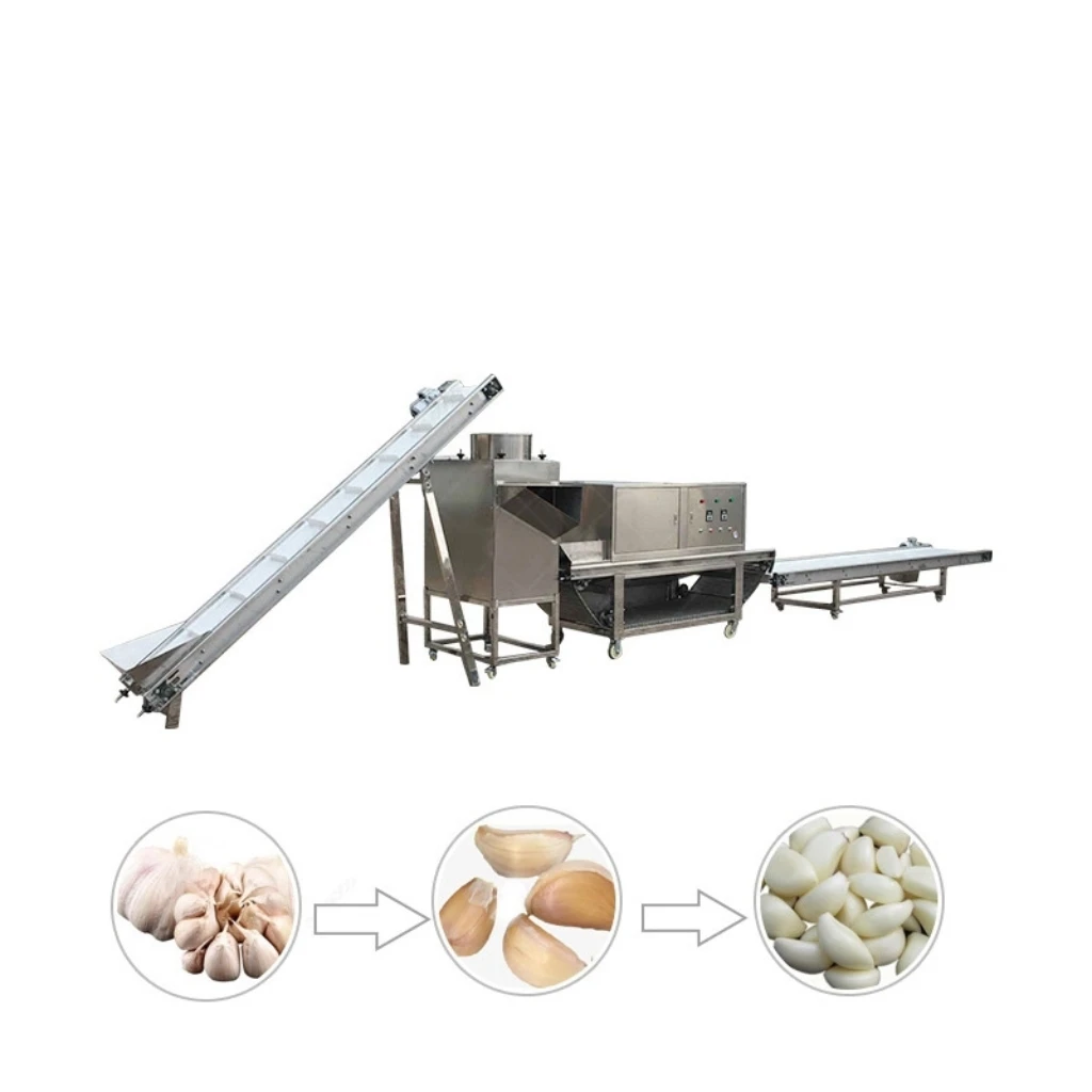 Large Capacity Garlic Separating Machine/automatic Garlic Peeling Machine for Garlic Powder Production Line