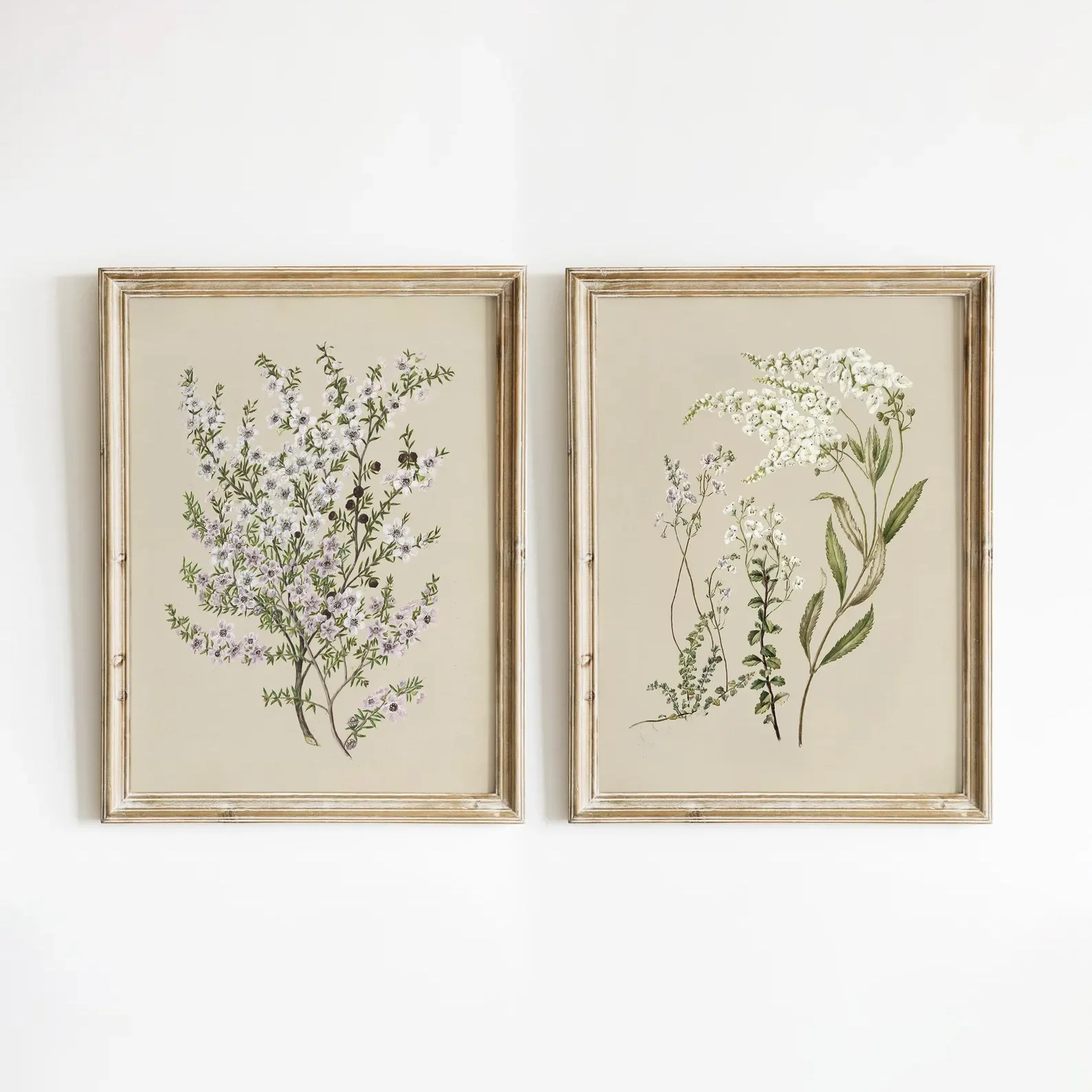 2PCS Vintage Botanical Wall Art  Flower Art Poster  Blossom Painting Art Print  Canvas Paintings For Room Decor  Home Decor