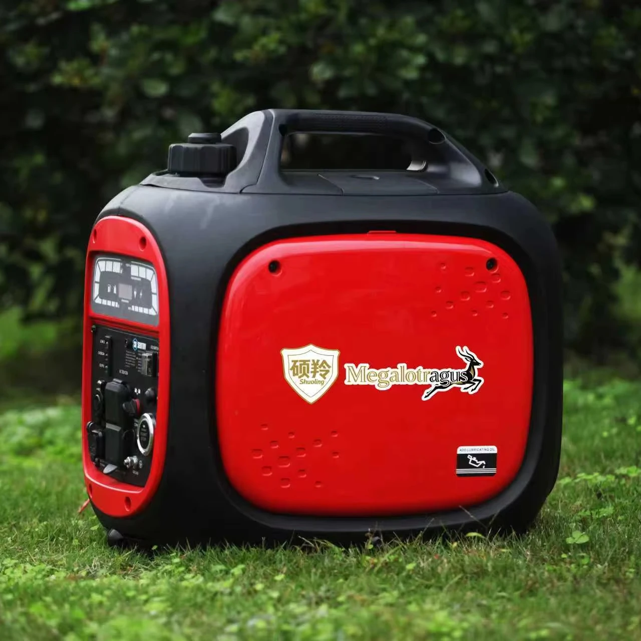 

Small Size Portable Easy Carry 2KW 4-Stroke Auto Start Mute Eco-Friendly Lightweight CE Certified Inverter Generator for Balcony