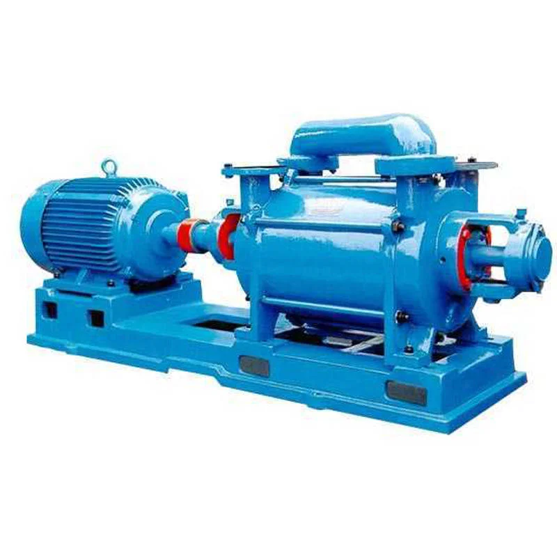 Cast Iron Electric Double Stage Liquid Ring Vacuum Pumps Circulating Water with Low Pressure OEM Customized Support