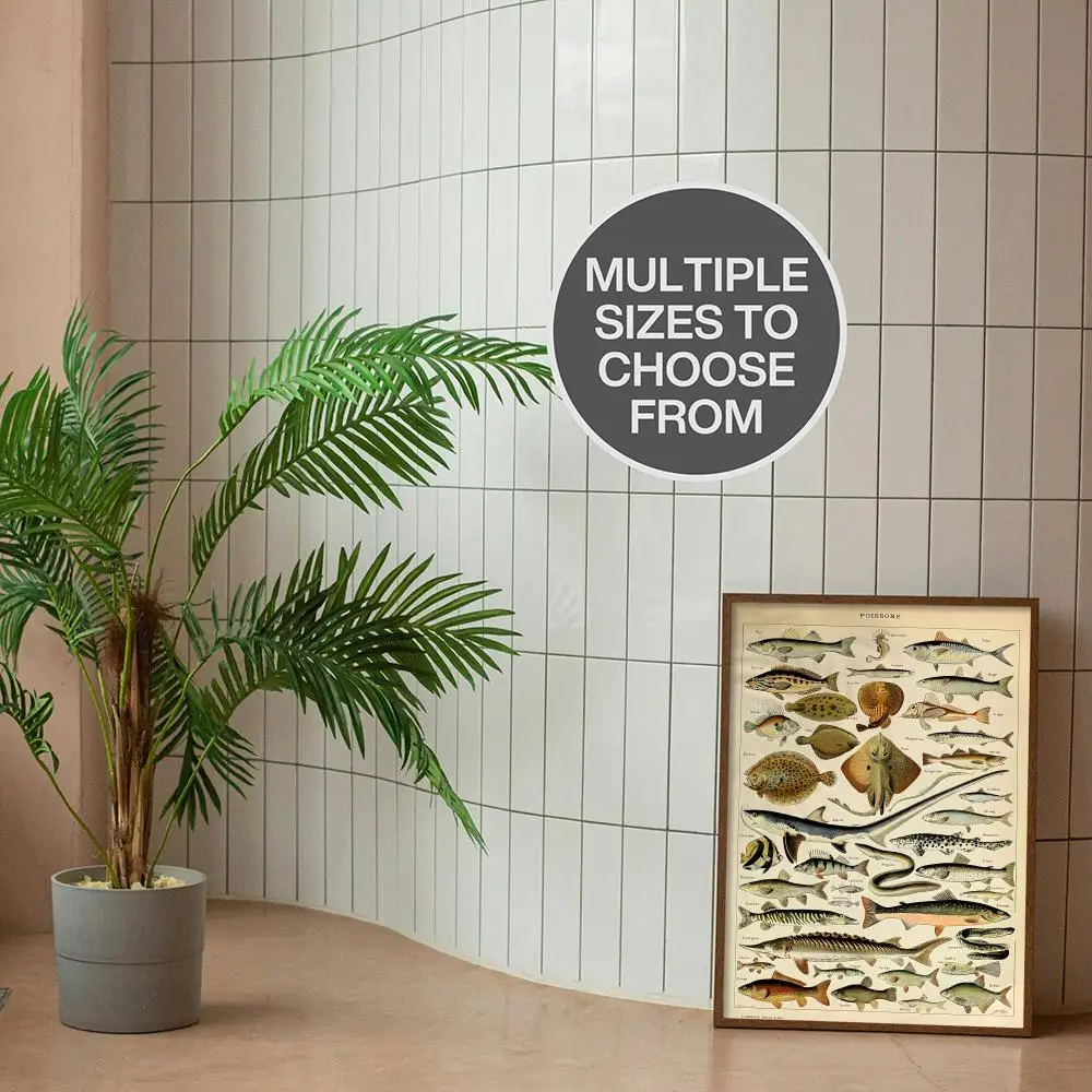 Vintage Adolphe Millot Poster Sticky Wall Waterproof Home Living Room Bedroom Bar Aesthetic Decoration Perfect Gift