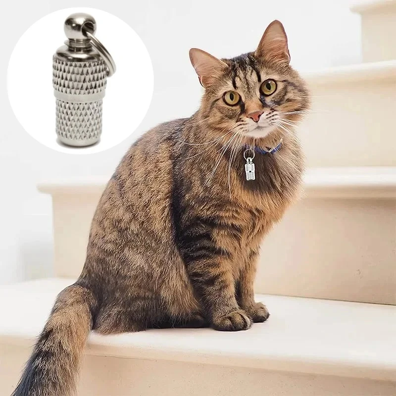 Anti loss address tags for dogs and cats, storage collars, pendants, mini metal pet ID tags,tube collars, personalized name tags