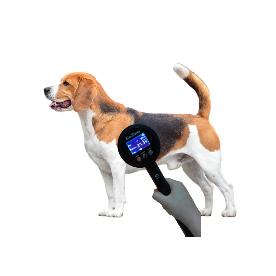 

COZING портативное устройство для холодной лазерной терапии для домашнего использования, ветеринарное облегчение боли, заживление ран