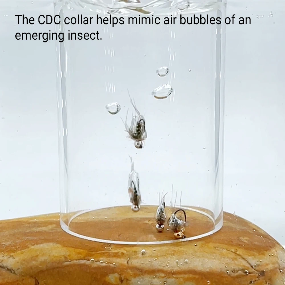 رأس خرز من التنجستين من Hustler Nymph Fly للغرق السريع، ريشة CDC، ضلع للأشعة فوق البنفسجية، لصيد سمك السلمون المرقط، مقاس الخطاف 16 #4