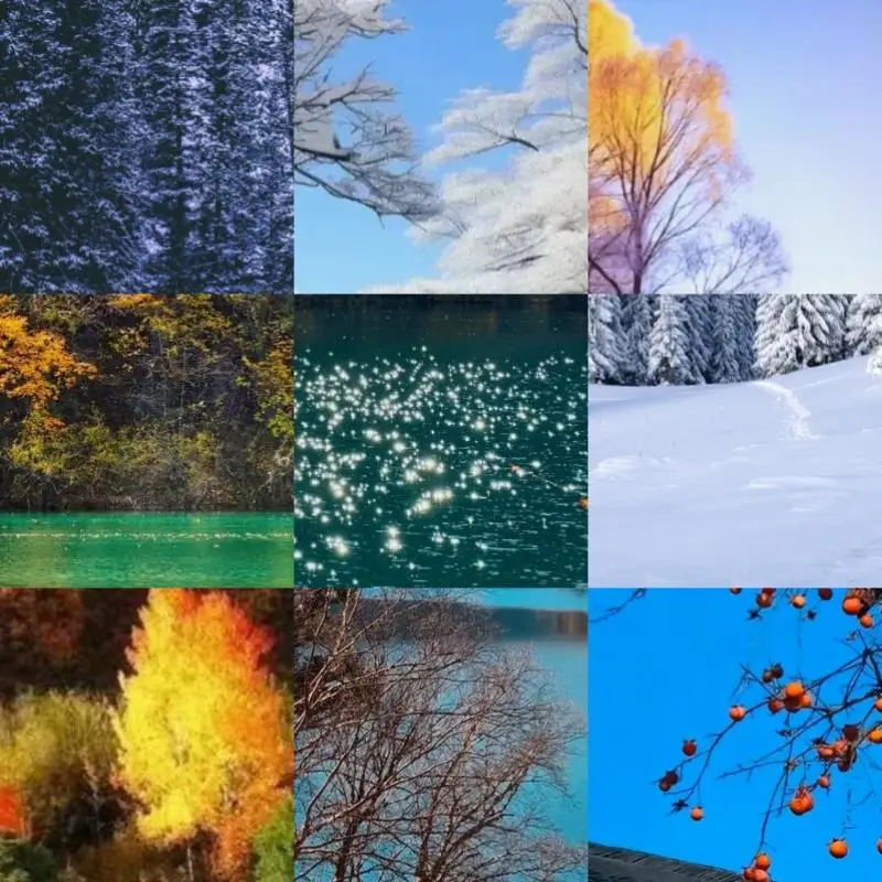 Usb Adapter Usb Don…