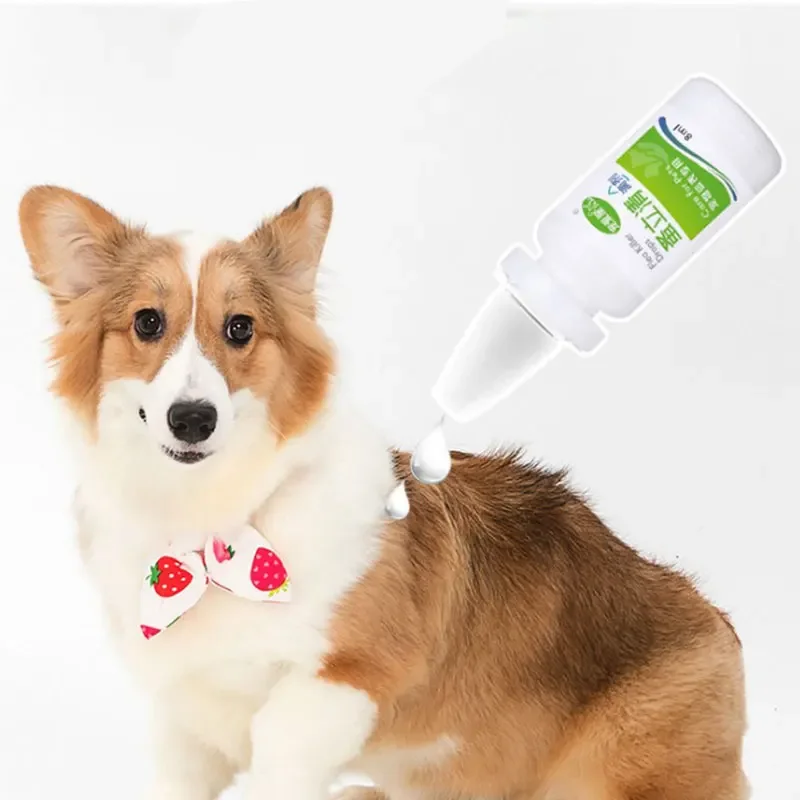 Pet Dog Cat Anti-flea Drop Insecticide Flea Lice Insect Killer Liquid Pet Insect Killer Spray For Dog Cat Puppy Kitten Treatment