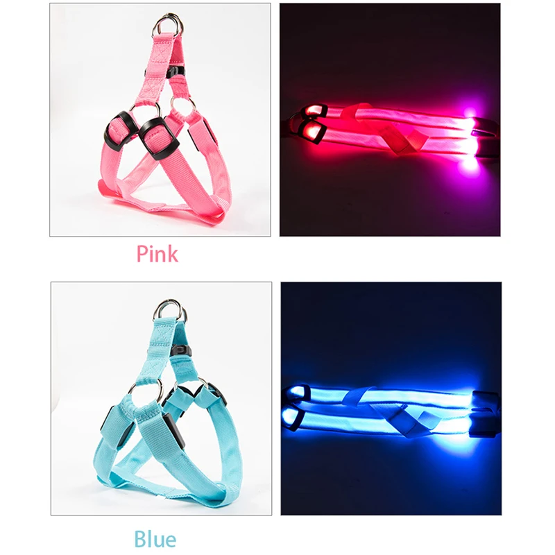 Thumbnail 2 - #25 Ranked LED Dog Collars Picks in 2026