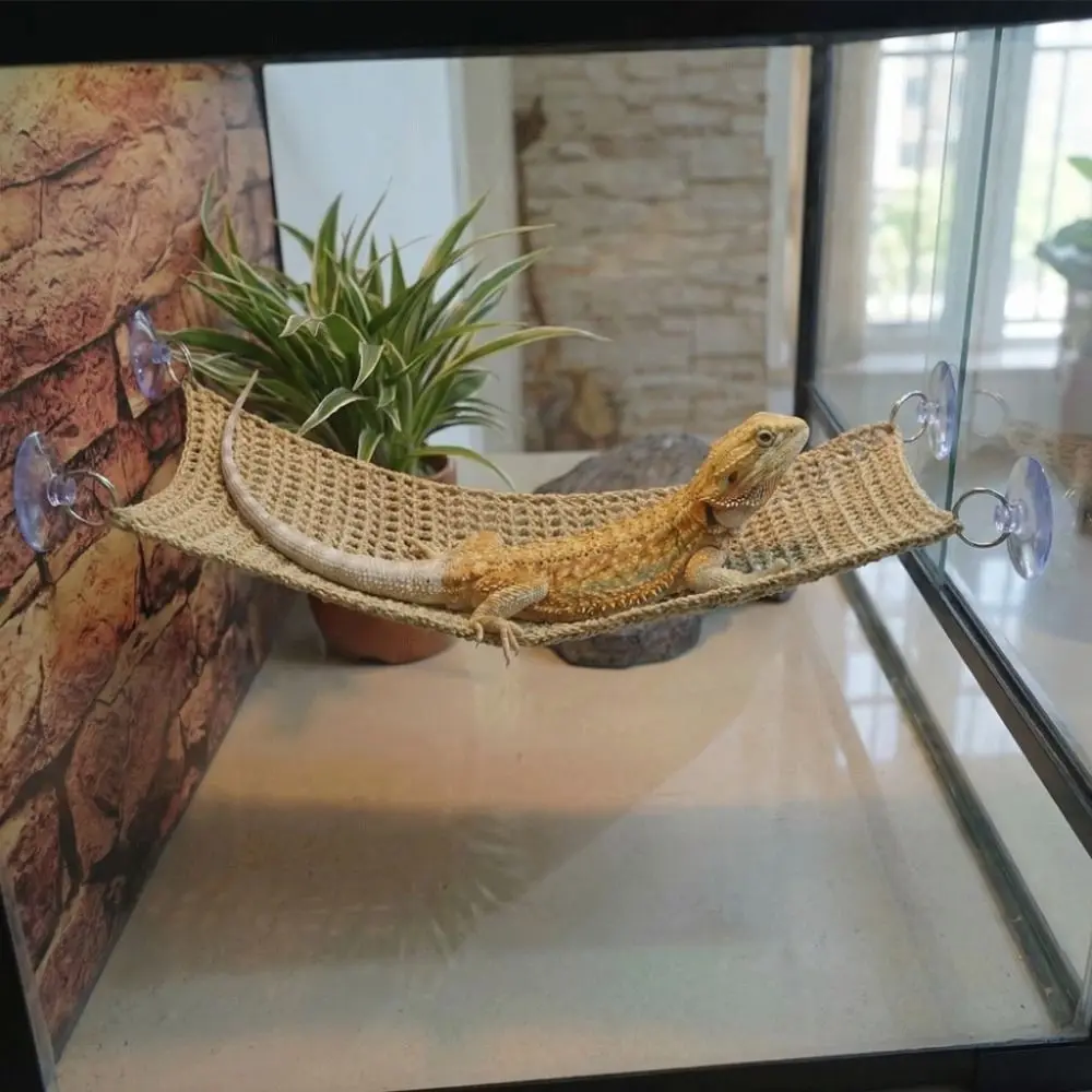#11 Pet Habitat Decors List of Top Picks