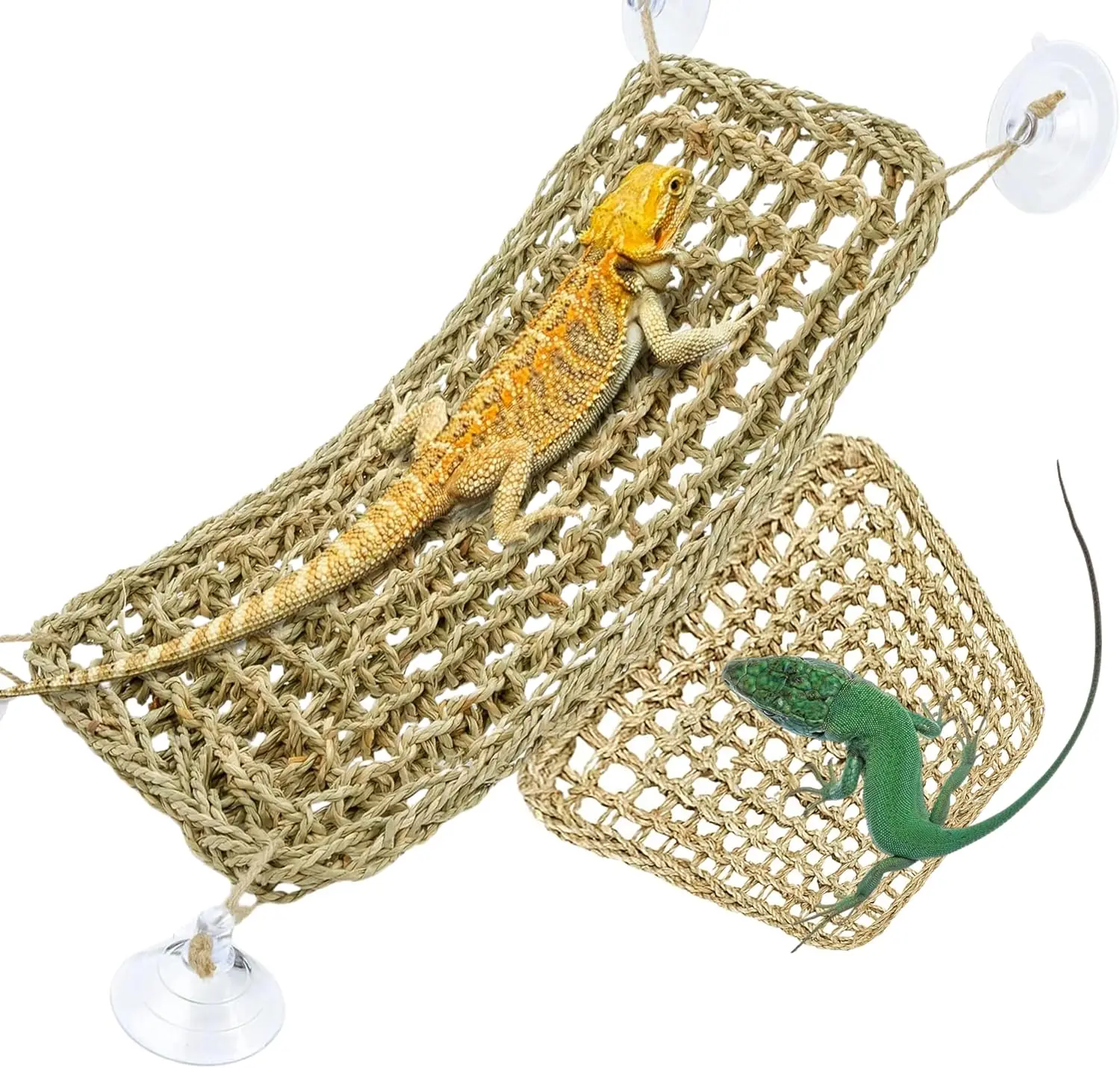 

Bearded Dragon Hammo Reptile Lounger For Chameleon, S, Geckos, Snakes, Uana Reptiles, Tortoises Reptile & Amphibian Habitat