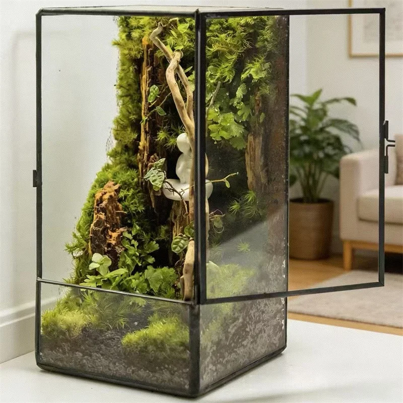 Micro Landscape Rainforest Ecological Square Shape Geometric Glass Terrarium Moss Plant Glass Vase Container Table Greenhouse