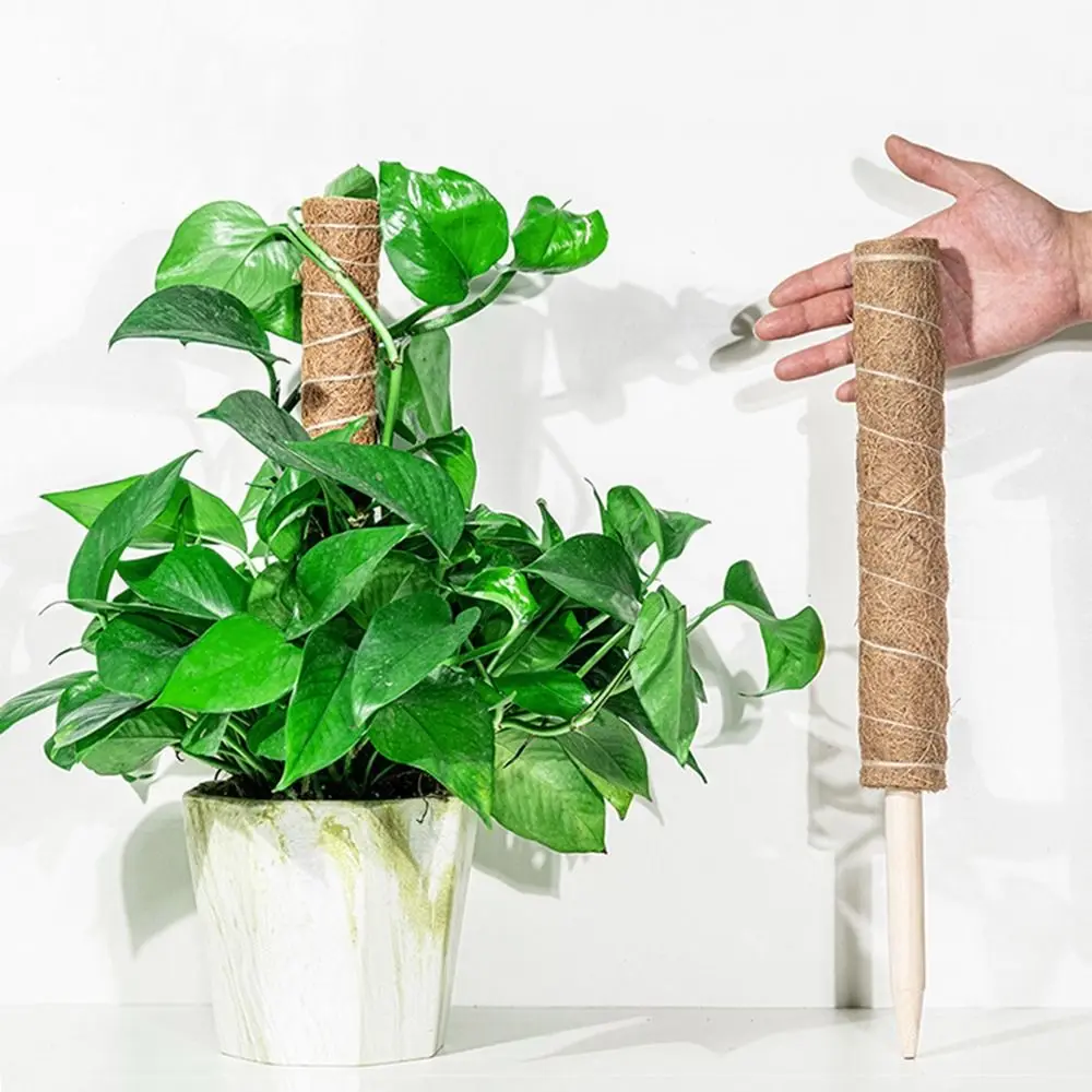 Durable 30/40/50cm poste de musgo crecen hacia arriba estacas de soporte de plantas apilables resistentes fácil de instalar palos de musgo para el hogar