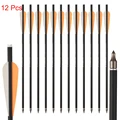 orange 12 pcs