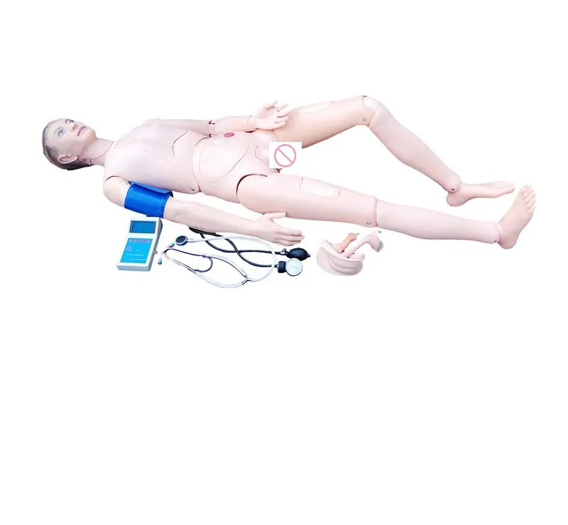 

Advanced Nurse Training Model with Blood Pressure Arm (Male/Female)