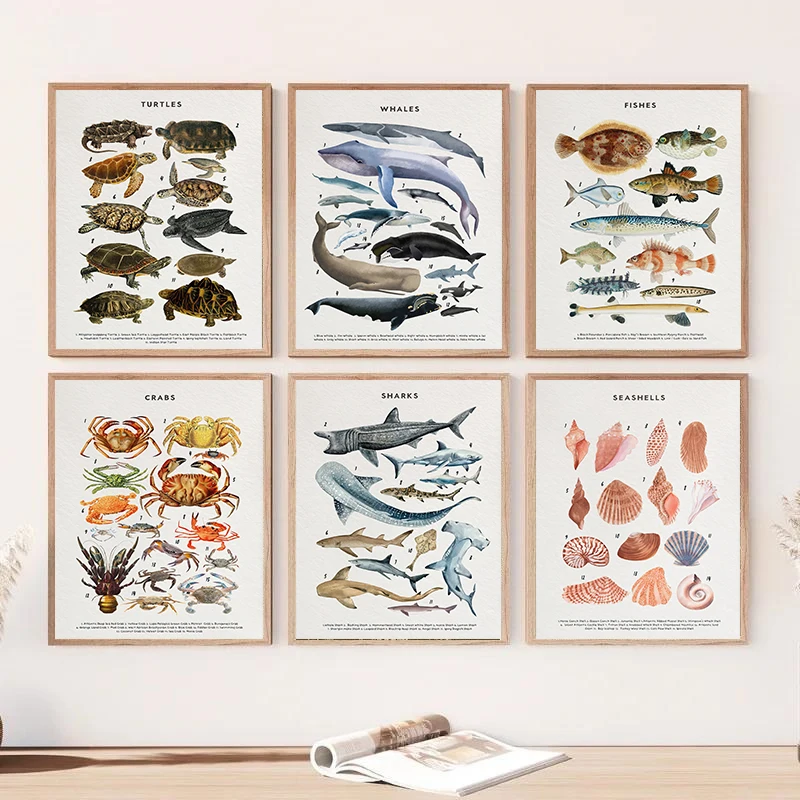 1pc frameless Marine Life Ocean Animals Whale and Shark Seashells Turtles Octopus Fish Poster Canvas Painting Wall Art Pictures
