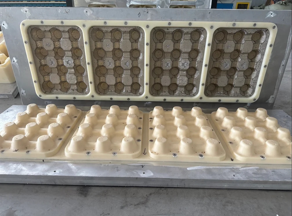 Cetakan Plastik Universal 30 Telur