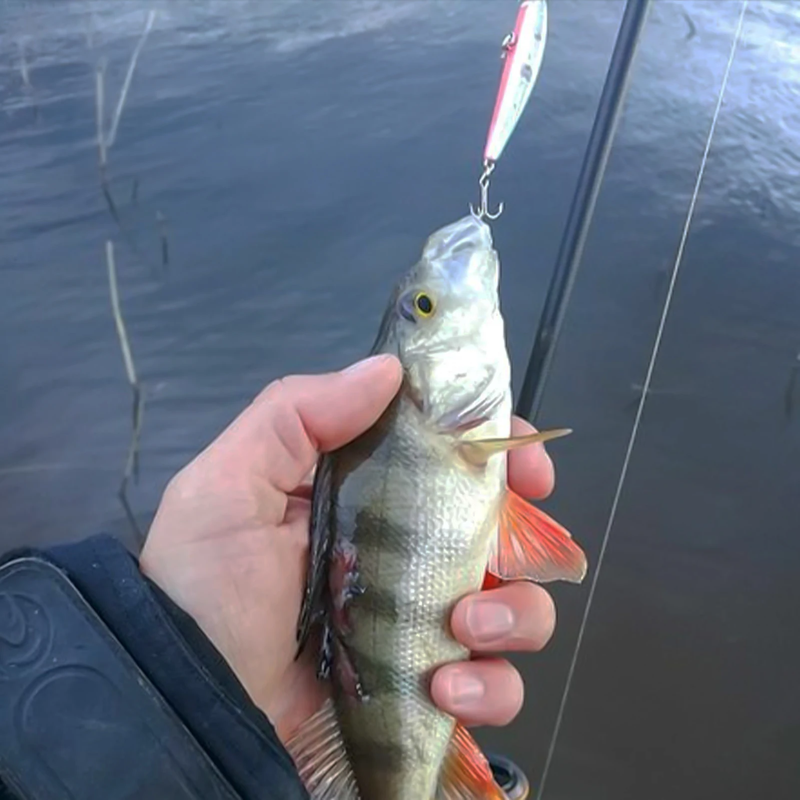 

250m Fishing Line Durable Nylon Fishing Line For Freshwater Saltwater Practical Elastic Fishing Line Outdoor Fishing Gears