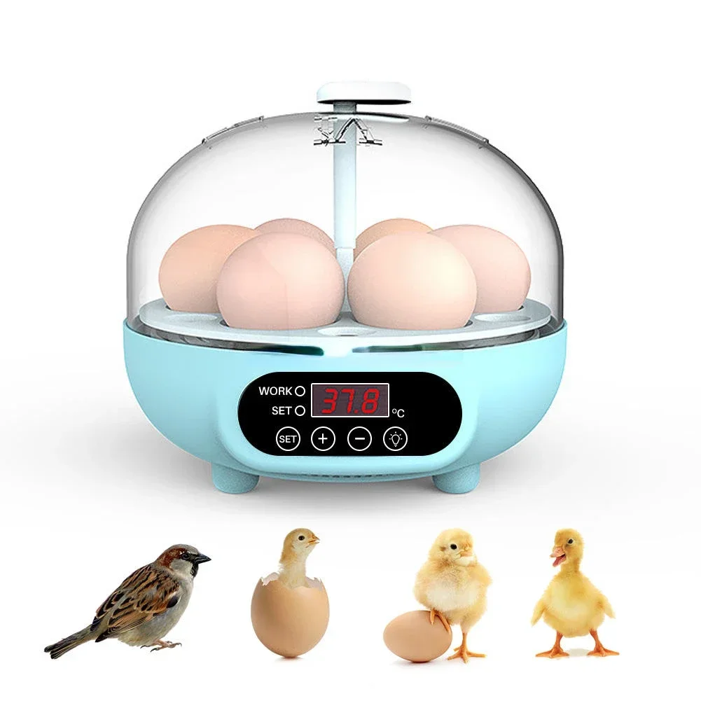 Wysokiej JakośCi Ku…