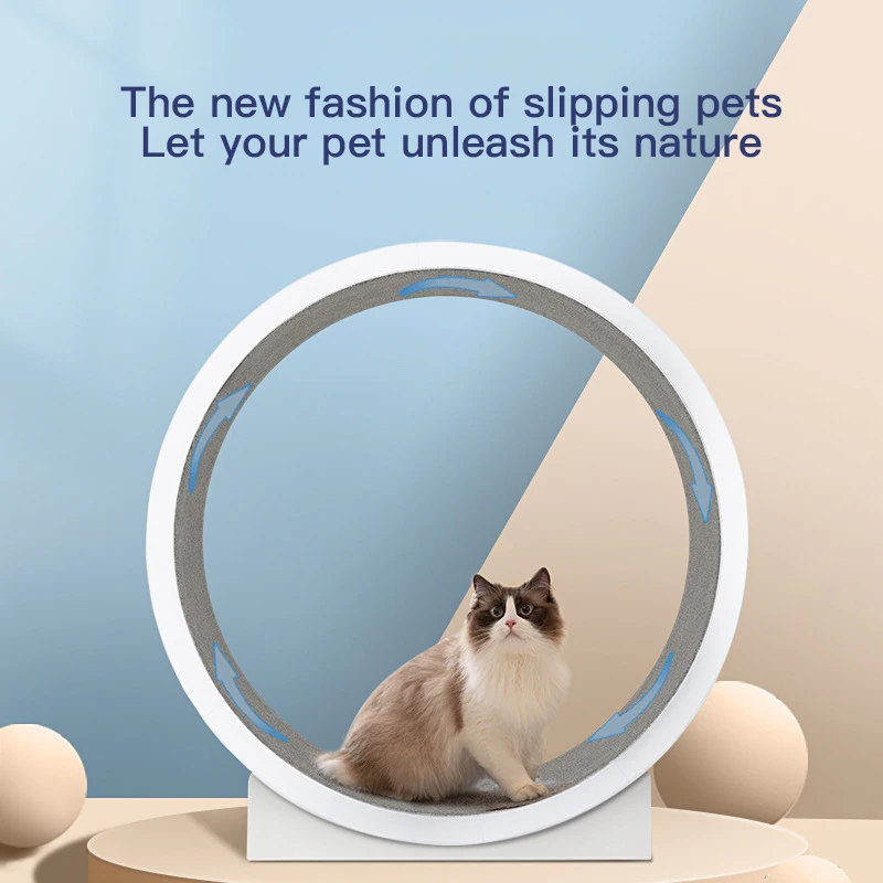 Рисунок 2 - Беговое колесо для кошек Колесо