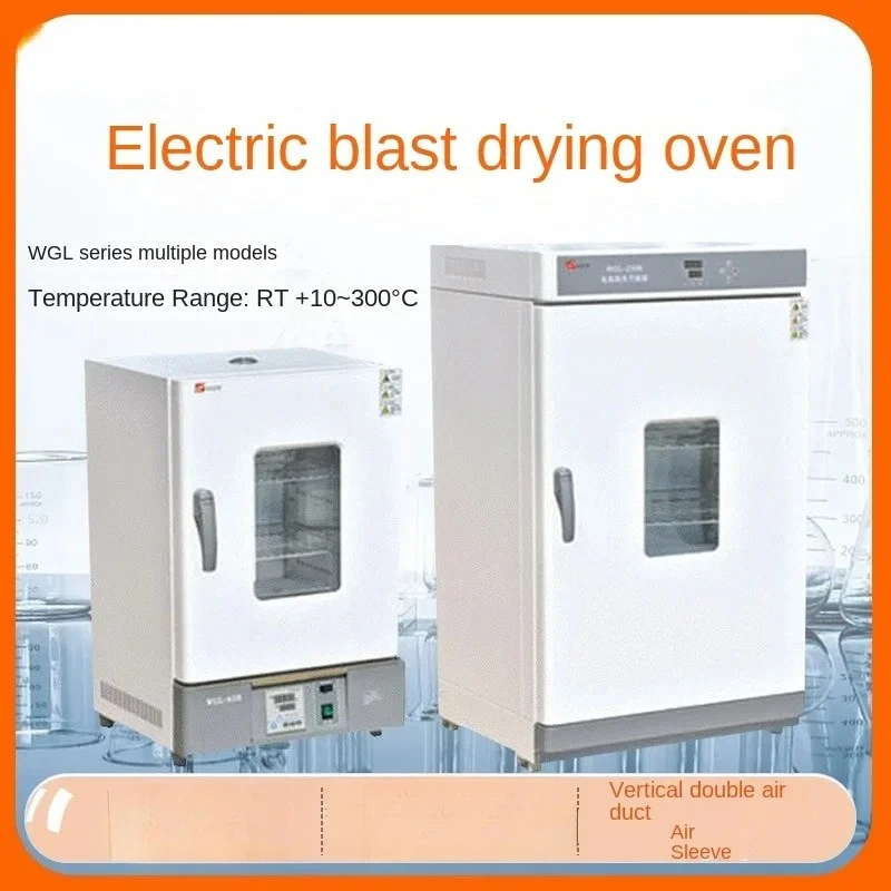 

WGL/Wgll Series Laboratory Industrial 300 Degree Oven Electro-Thermostatic Blast Oven
