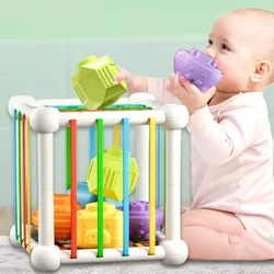 Rainbow Cecele Criança Fine Motor Grip Training Baby Montessori Early Education Toys