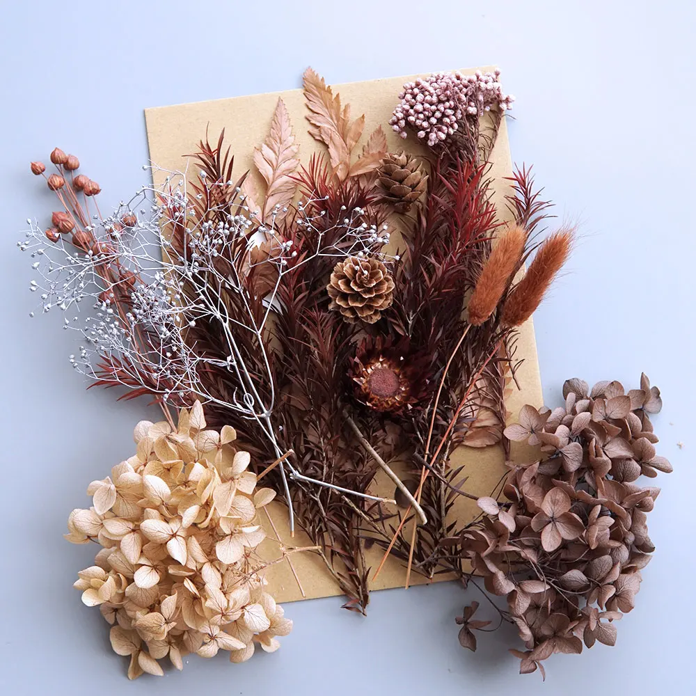 1 Pack Natural Dried Pressed Flowers For Handmade Home Decoration Crafts wers Leaves Bulk For DIY Candles Epoxy Resin