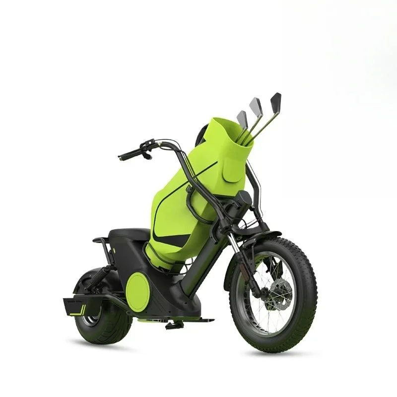 

Brushless Motor High Power Stainless Steel Golf Cart