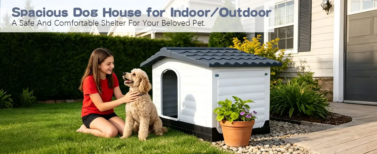dog house