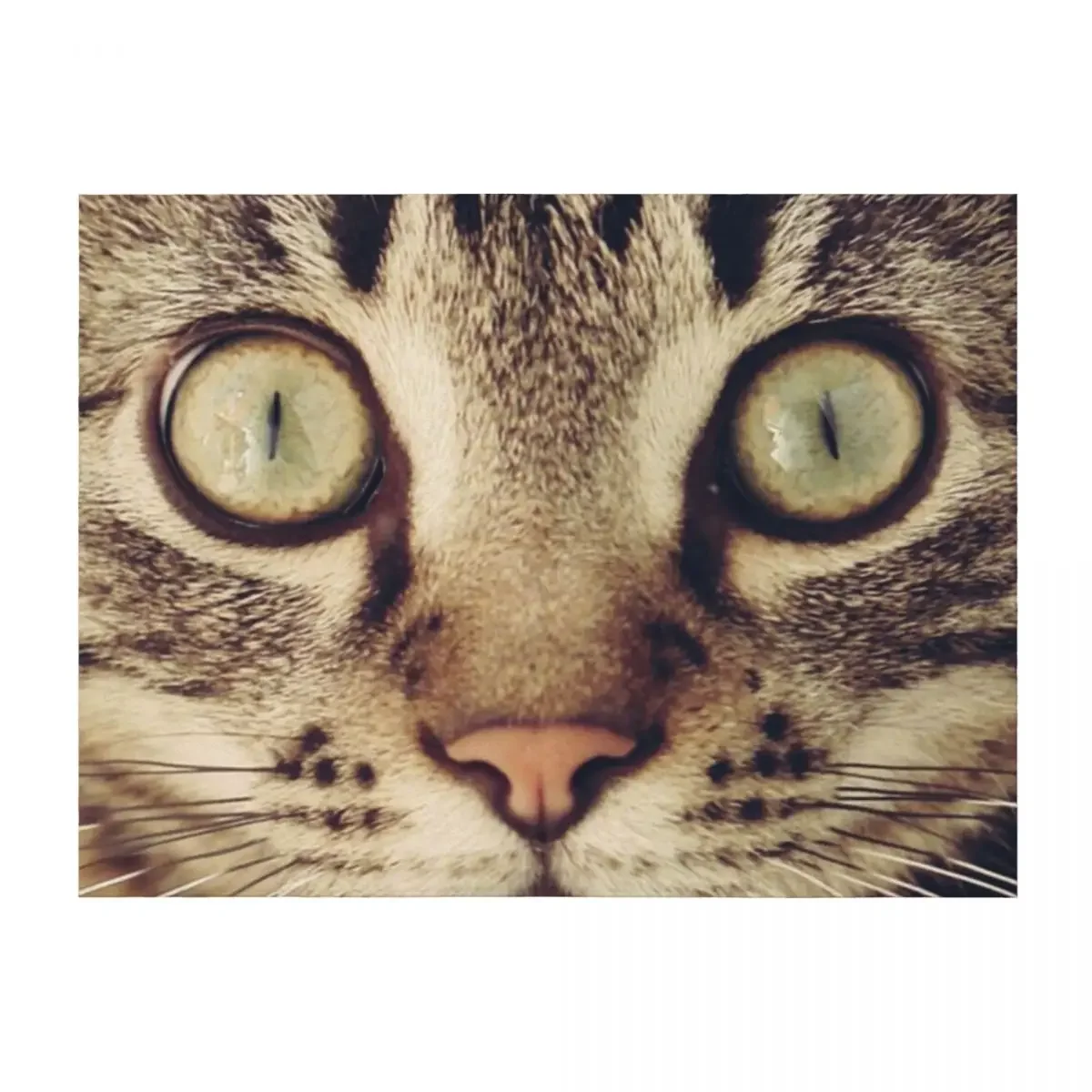 

Cat Throw Blanket Thermals For Travel Blankets For Sofas Decorative Beds for sofa Blankets