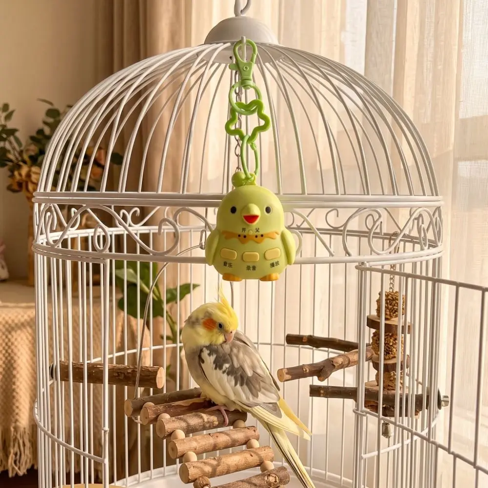 Bird Shape Bird Learning Machine Recording Playback Parrot Teach Talking USB Charging Interactive Voice Recorder Keychain